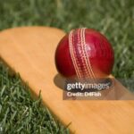A Leather Cricket Ball On Bat.