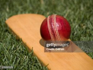 A Leather Cricket Ball On Bat.